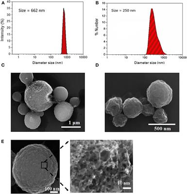 Porous Carbon Microparticles as Vehicles for the Intracellular Delivery of Molecules